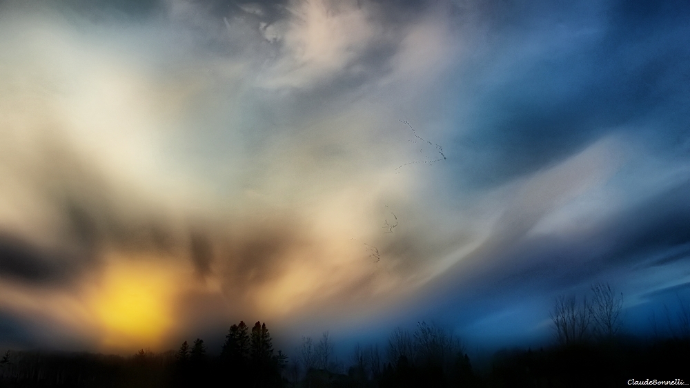79--4303-1_filtered-1.jpg.9f6eb6e453145a2f58647efa1adb1415.jpg
