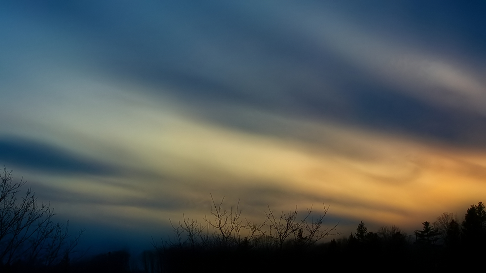 97--4337-1_filtered.jpg.d31c66a69ea27b7ea0f06c9211e28fb4.jpg