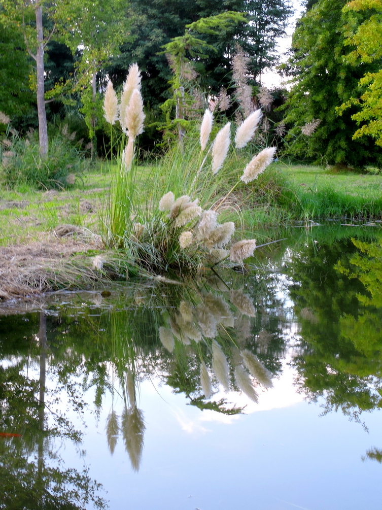 DSCN9851.JPG