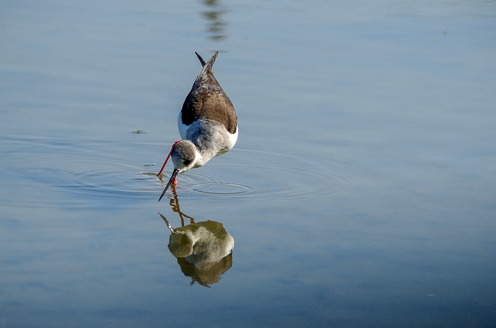 DSC_7038_01.JPG