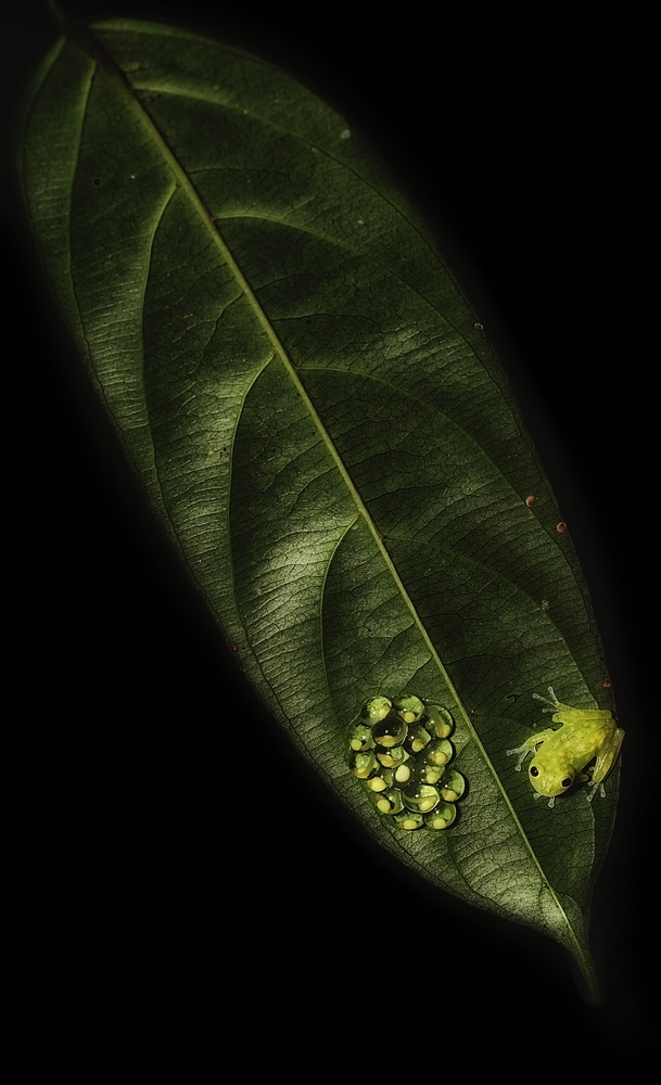 IMGP8363-Modifier.jpg.85d142ae6cff654f04dbb1e8551d2ff9.jpg
