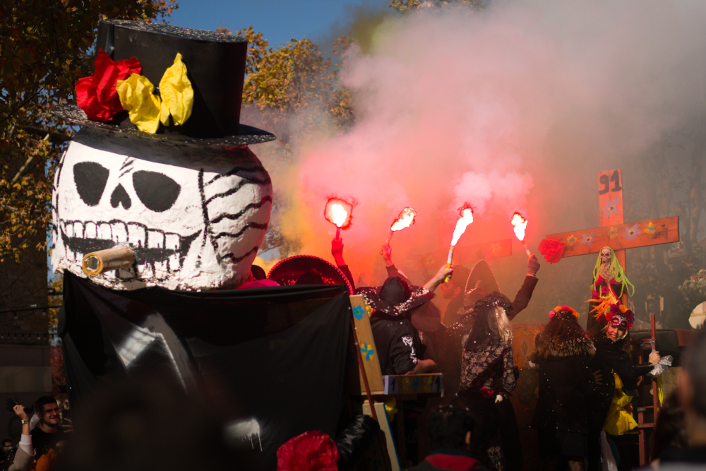 IMG_7433.jpg.6916c7f38b33e538955d3560b09ee116.jpg