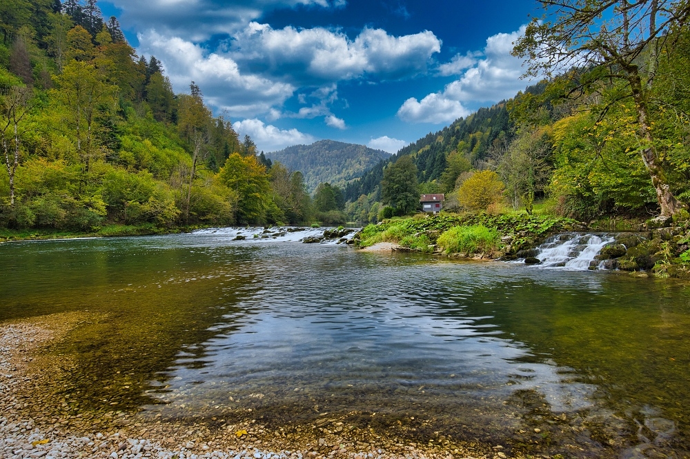 041A0284-border.jpg.ea8e1516450ec58c5825c0a9315435d5.jpg