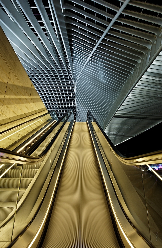 1273808602_CW7A0588_DxO(2)-border.jpg.bbeb400bdf4c5d7679f56c95e4413a90.jpg