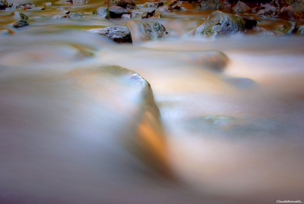271097292_fil2656-2_filtered_1.jpg.fb6f1345f22f214dd1baab5547eb8ea2.jpg