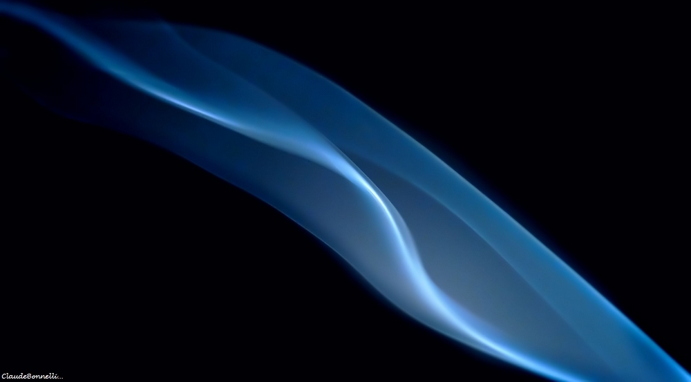 470246984_lignepur.jpg.9f968cd44217f50a4e082981a4eaf8d1.jpg