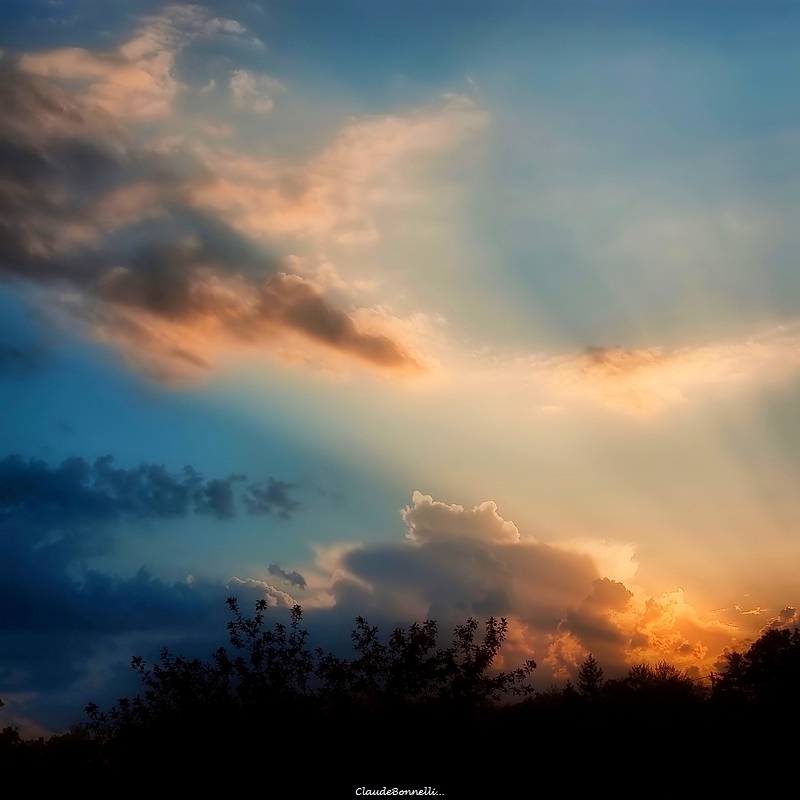 5-5210-1-1_filtered.jpg.7f868572f4df2ee2abd562b593023522.jpg