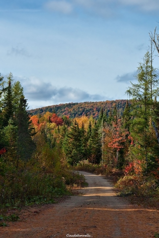 594465836_chemin3406-1_filtered_1.jpg.6681b3ff54459b45ffca35ae737325a2.jpg