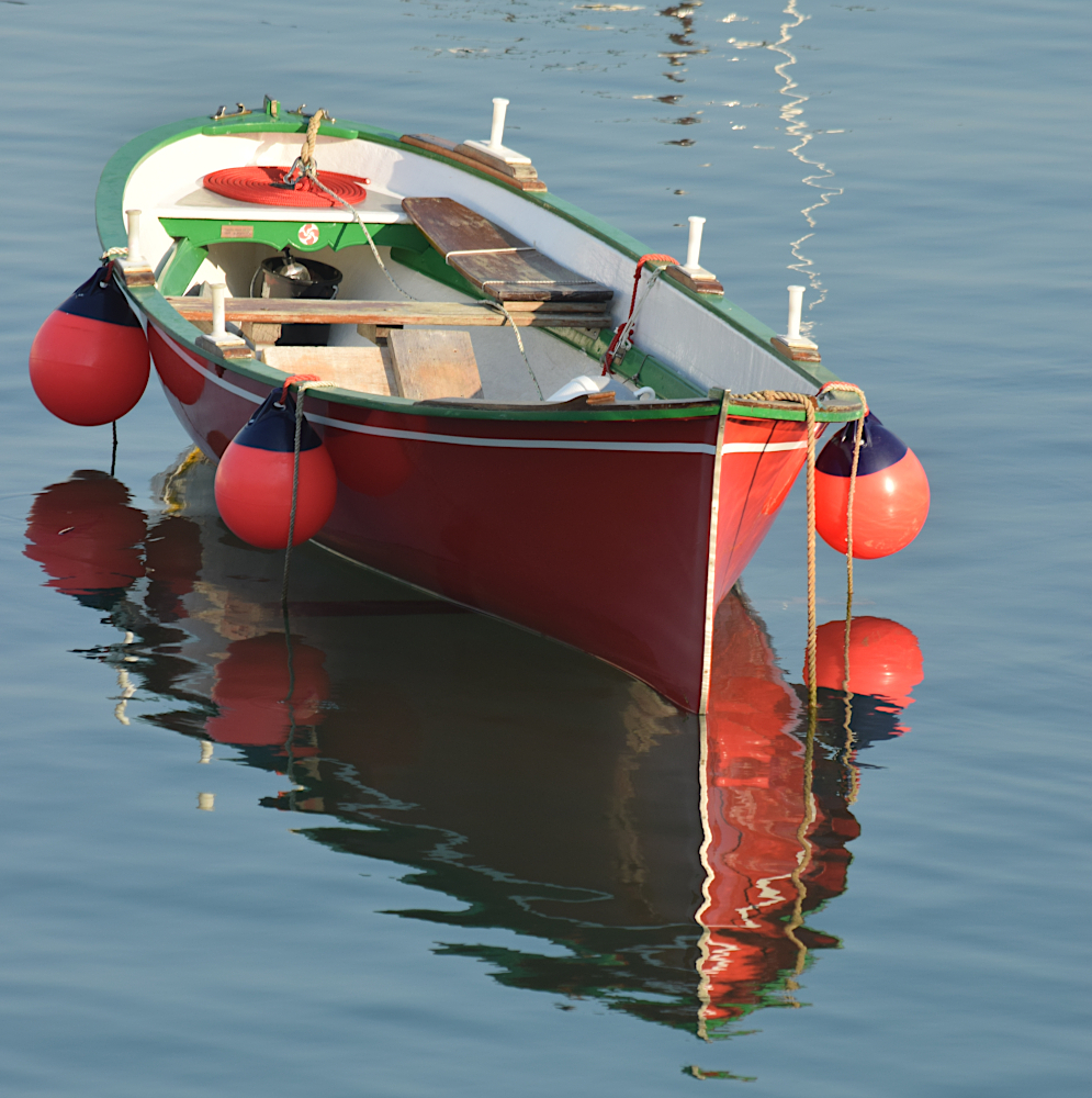 DSC_0744-fp.JPG.c26b616eed25d5cc97a761755c757af7.JPG