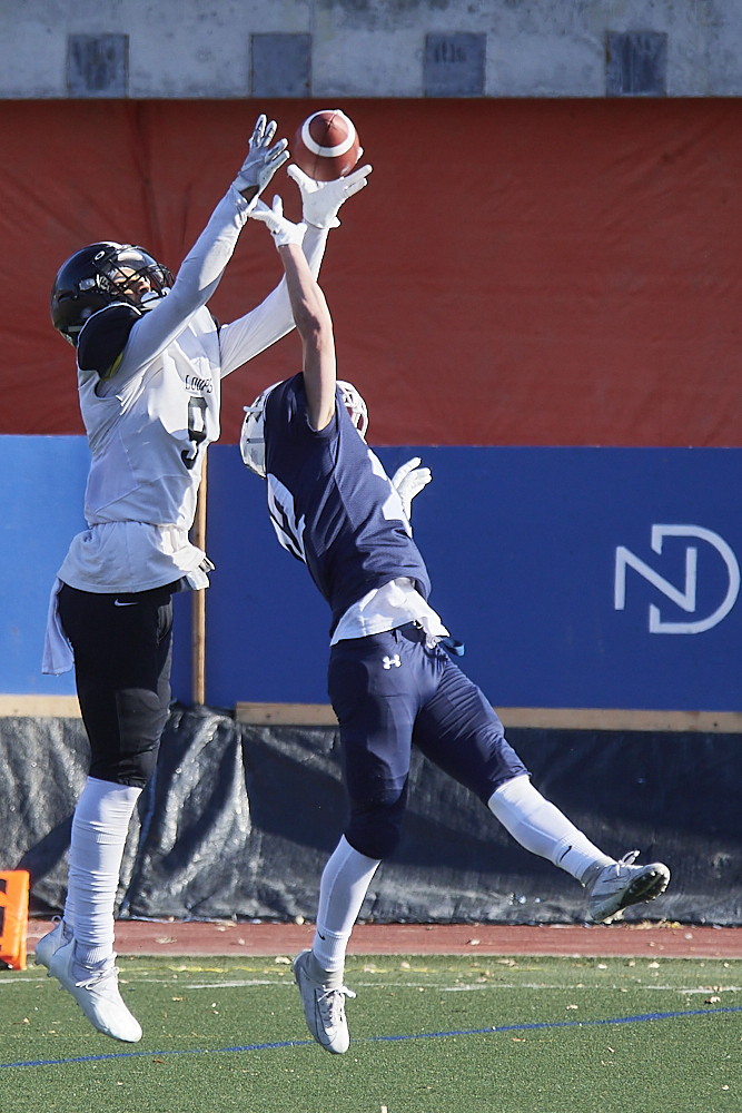 DSC_1802_1000.jpg.9838d9f521a953df824e06cfd50e36c3.jpg