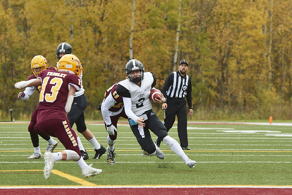 DSC_9663_1000.jpg.4b64a6215950c879acaa1f5e78154a80.jpg
