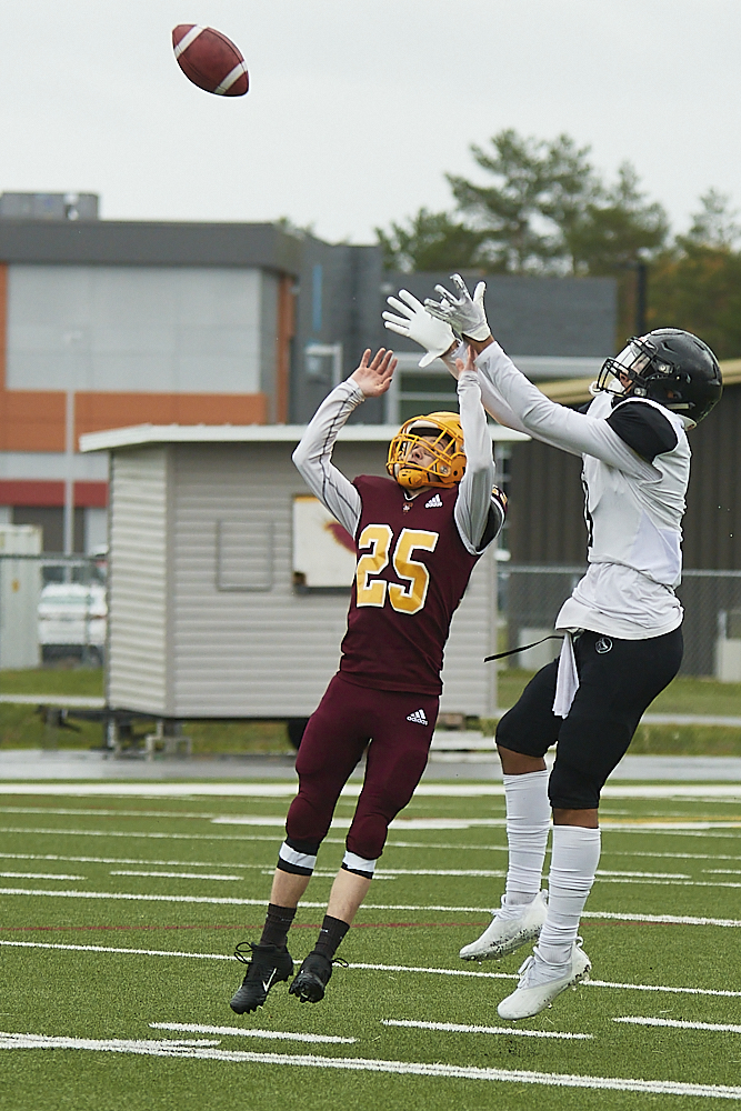 DSC_9937_1000.jpg.fdaa77af2d1e228c4baf4f545b958134.jpg