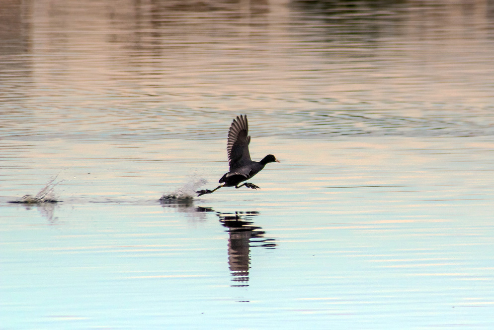 IMG_3940.jpg.d33dcc44a4cf47fb096010eb4a5c12f8.jpg