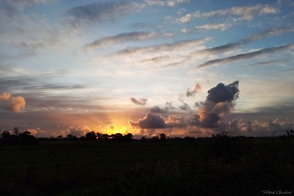 coucher-du-jour-au-marais.jpg.6b12819228388e0079960247629ea621.jpg