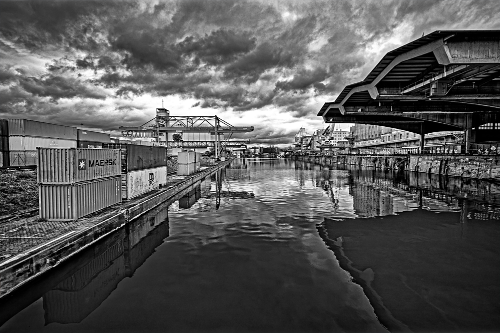 041A2523_DxO.jpg.b45db80ba8192a0a7ce4816f064925ee.jpg