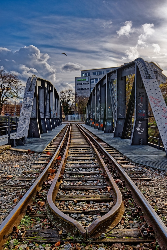 041A2617_DxO-border.jpg.31aa79cb75e6aa9958eda45f561cf049.jpg