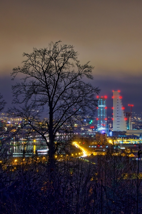 041A3420_DxO-border.jpg.f1c1f95c37f76bfaa334e823f9ccdae2.jpg