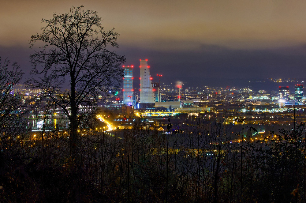 041A3421_DxO-border.jpg.f47be6dc1ca1ef277ce0bd05e4c8dea2.jpg