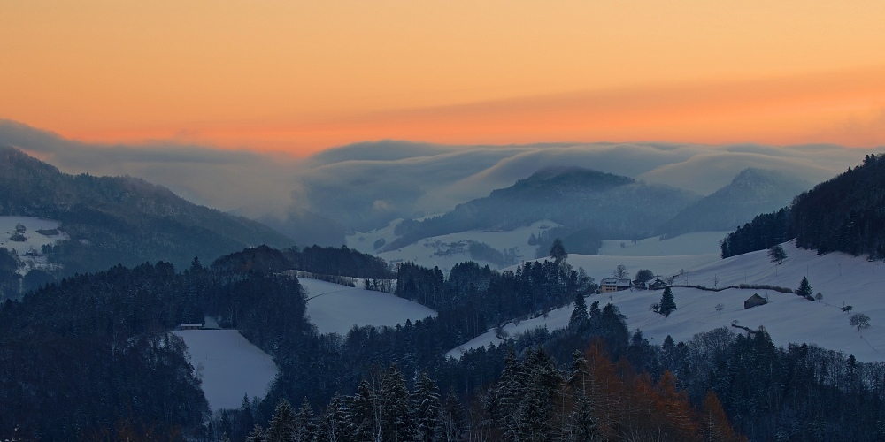 041A3443_DxO-border.jpg.0a7389e4baaa15518acd052844470166.jpg