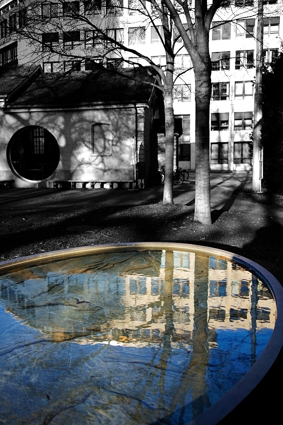 041A3605_DxO-border.jpg.f60b013ee91f69449fb291d07ec6e56f.jpg