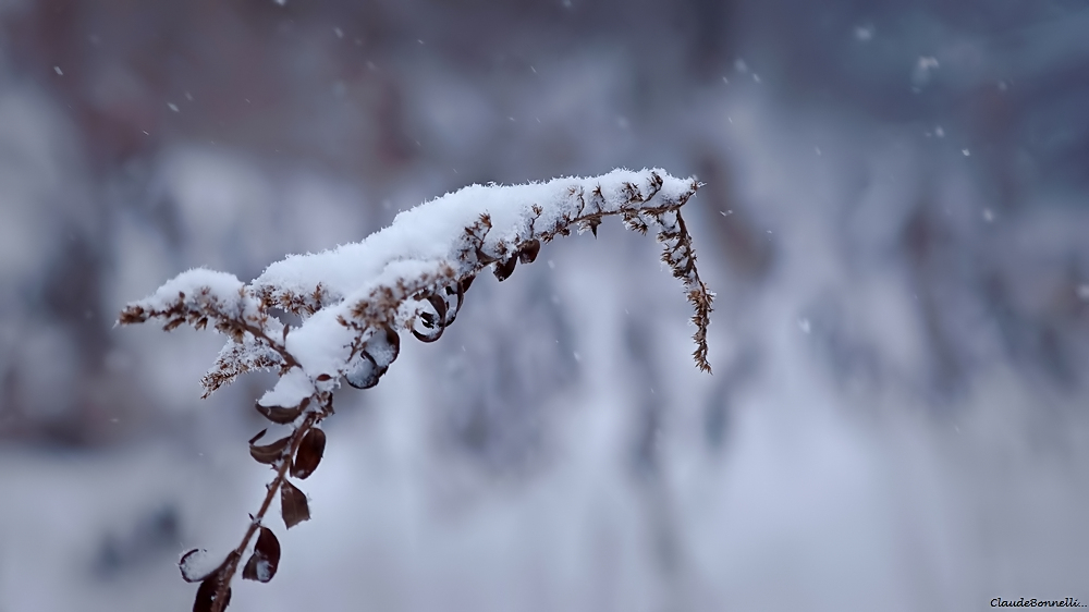 1-5912-2_filtered.jpg.23cf140d0a5e45d967a6257a03eec8a0.jpg