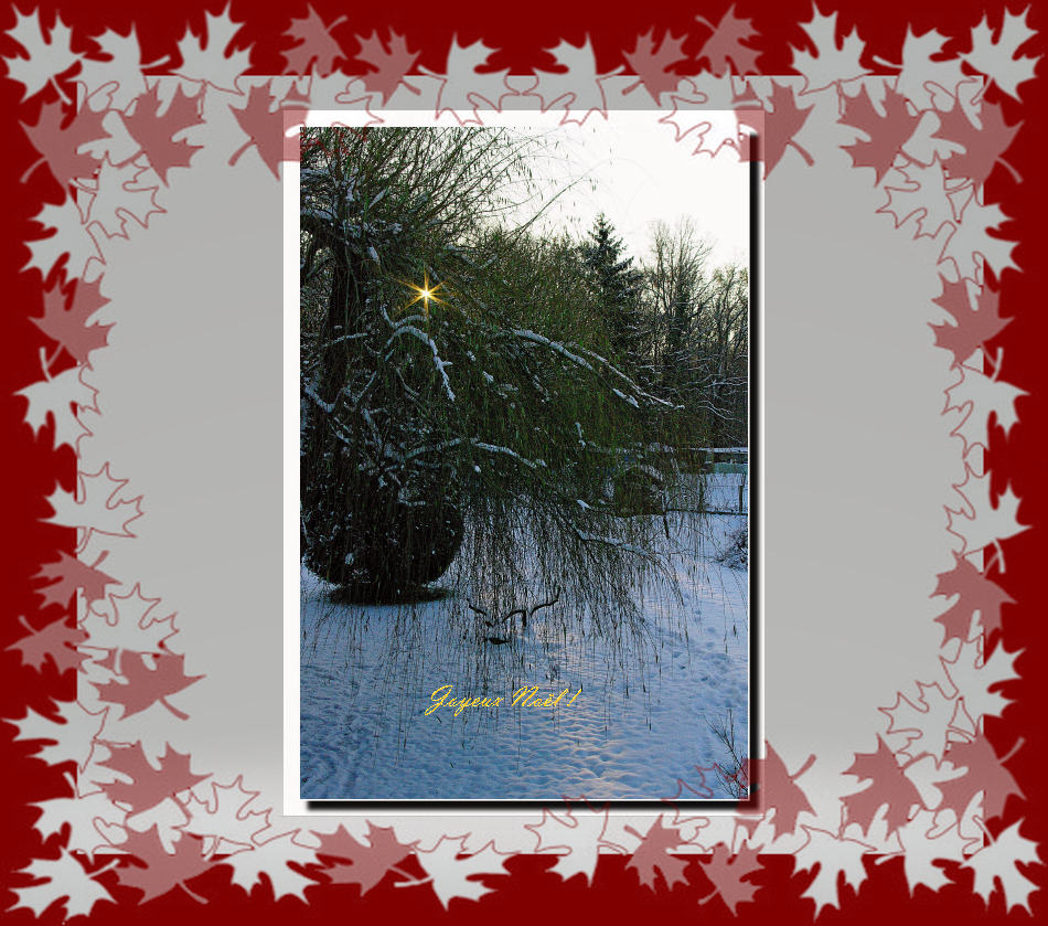 1369457255_capturedcran.pngjardin.pngcadre.jpg.a220863de9fdb949901034323b6710ea.jpg