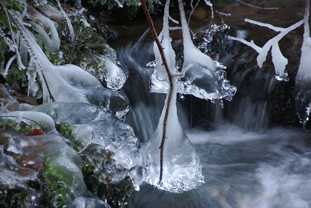 1421094751_GLACE1-border.jpg.5e99bd9282d160954d780fcb5e3fc677.jpg