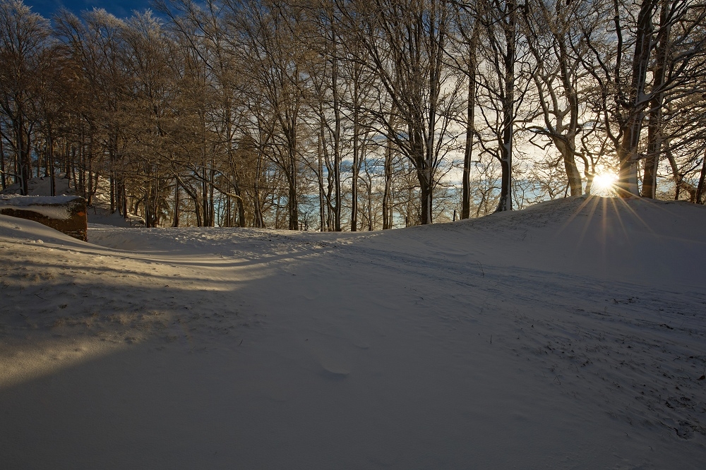 1G4A5208_DxO-border.jpg.f6683377b4ee78abb6ead59e68625d45.jpg