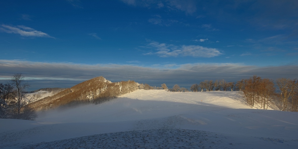 1G4A5215_DxO-border.jpg.8b5a16e61e760acf725eadcd785da4d0.jpg