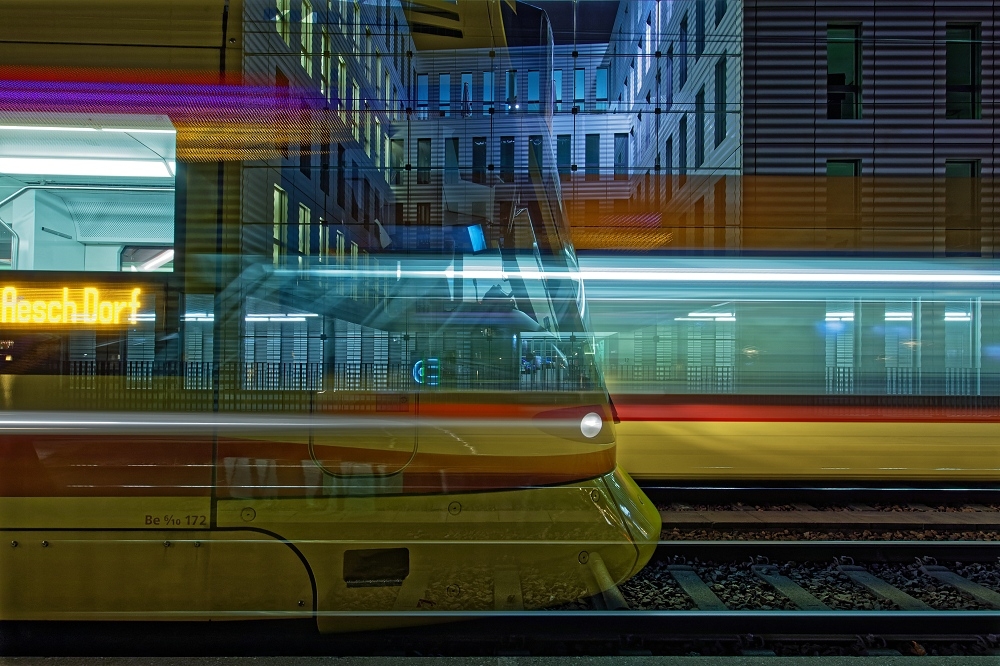 1G4A5304_DxO-border.jpg.0e77a53f7c18f2c048a4598cea958f61.jpg