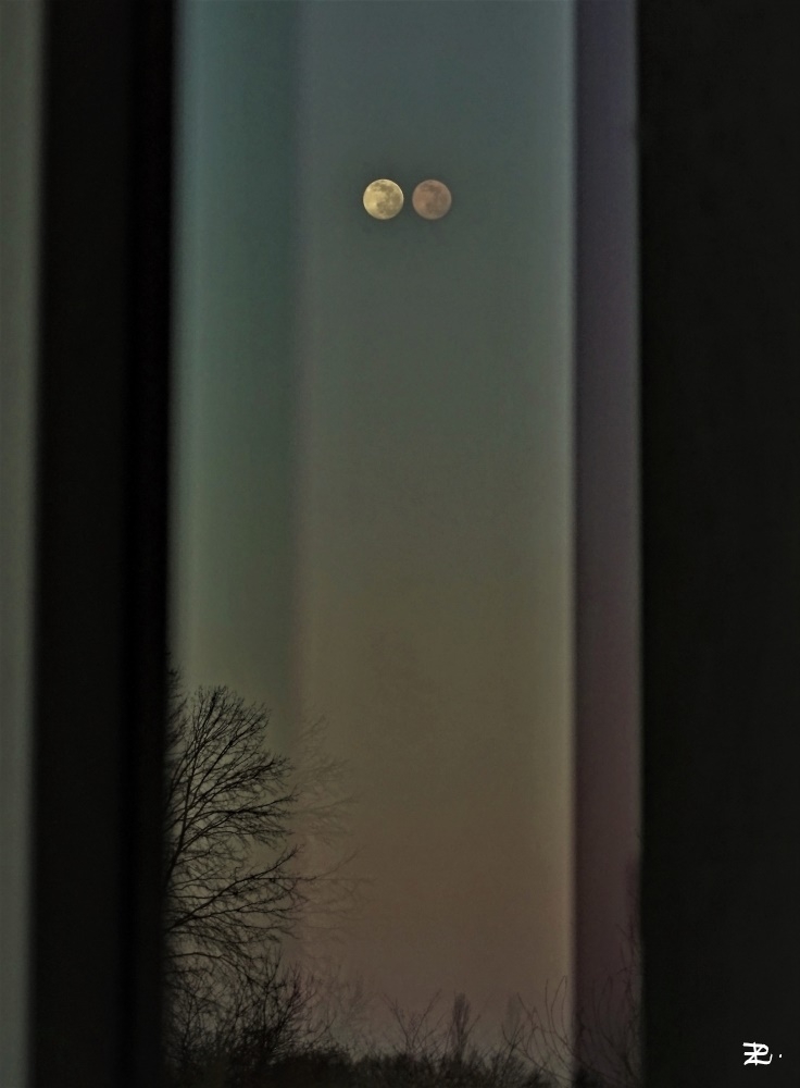406895832_DSC05166.jpg2.jpgbruit(3)_LI.jpg.d1dcb69ff889207ad38faecd40882d2d.jpg