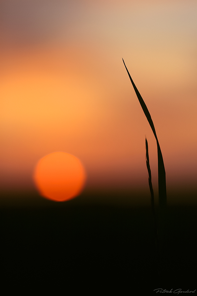 essais-lightroom-B-11.jpg.0f4dac693d677e39a1775e022e5f117f.jpg