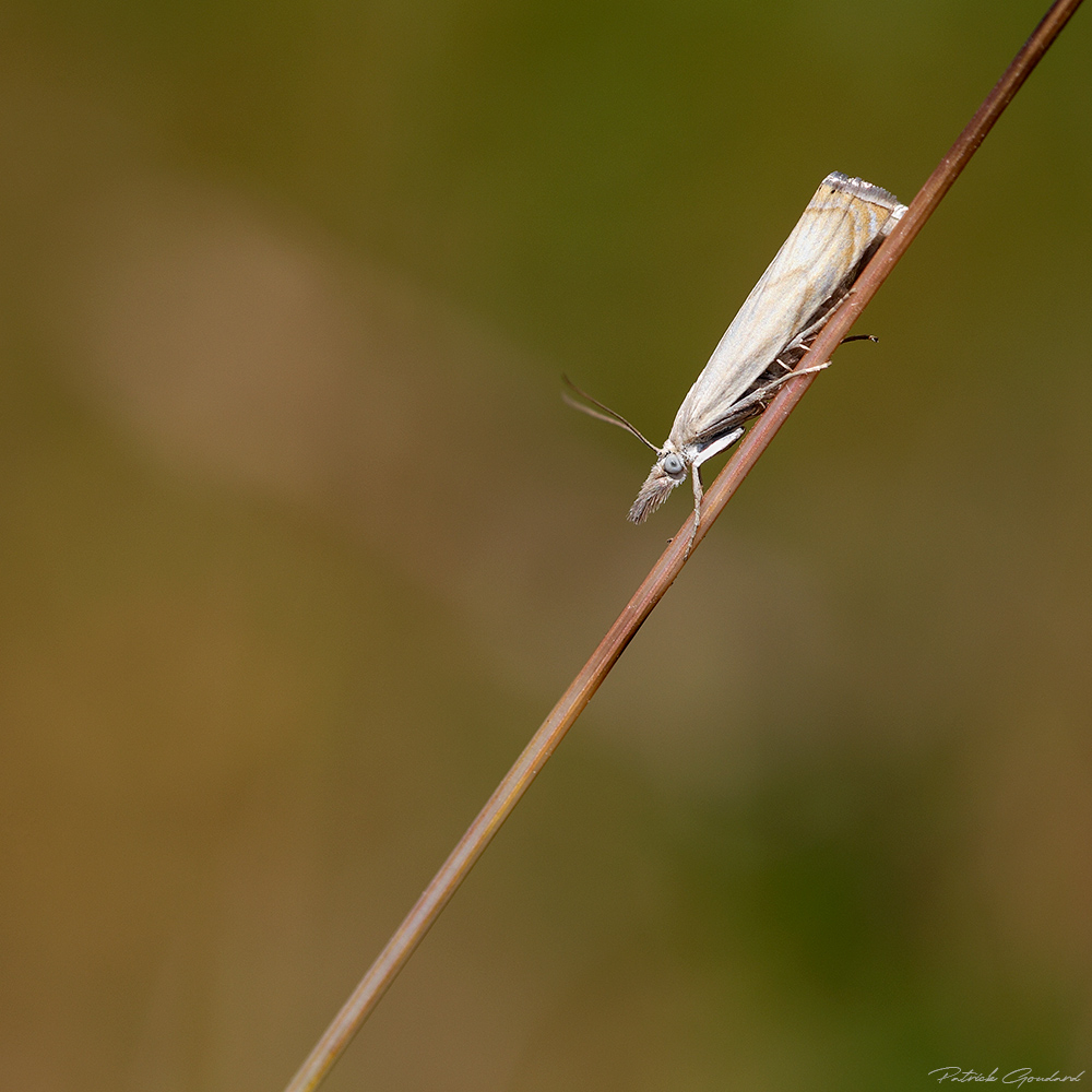 essais-lightroom-B-12.jpg.b1c6231a4e7d7499edadedb091a0989f.jpg
