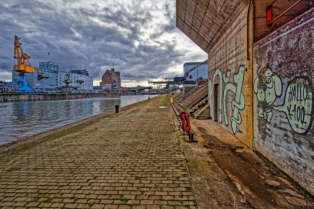041A2585_DxO-border.jpg.ec235a42ff07631d12276de94b0d0b51.jpg