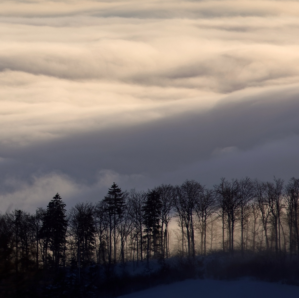 041A3548_DxO-border.jpg.7c4c69d6f66d77541b20f66020228ead.jpg