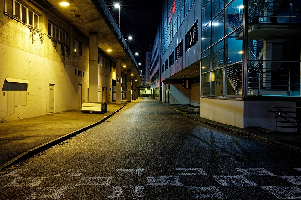 041A4417_DxO-border.jpg.7d0963674ba669e0debc542fcc25e011.jpg
