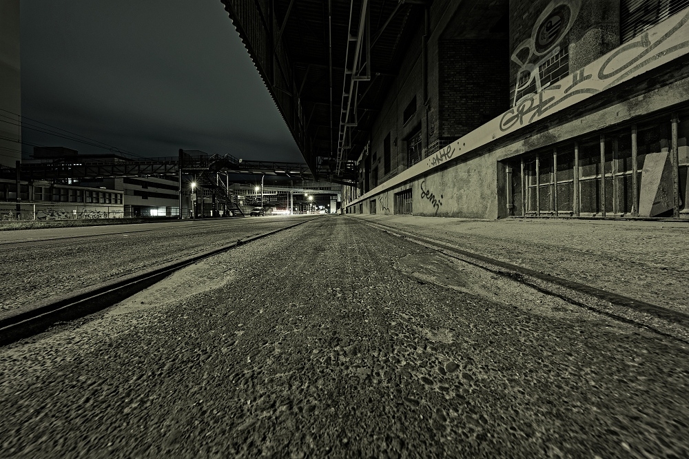 041A4477_DxO-border.jpg.641332079f7288dd68c5ffc2a4239f42.jpg