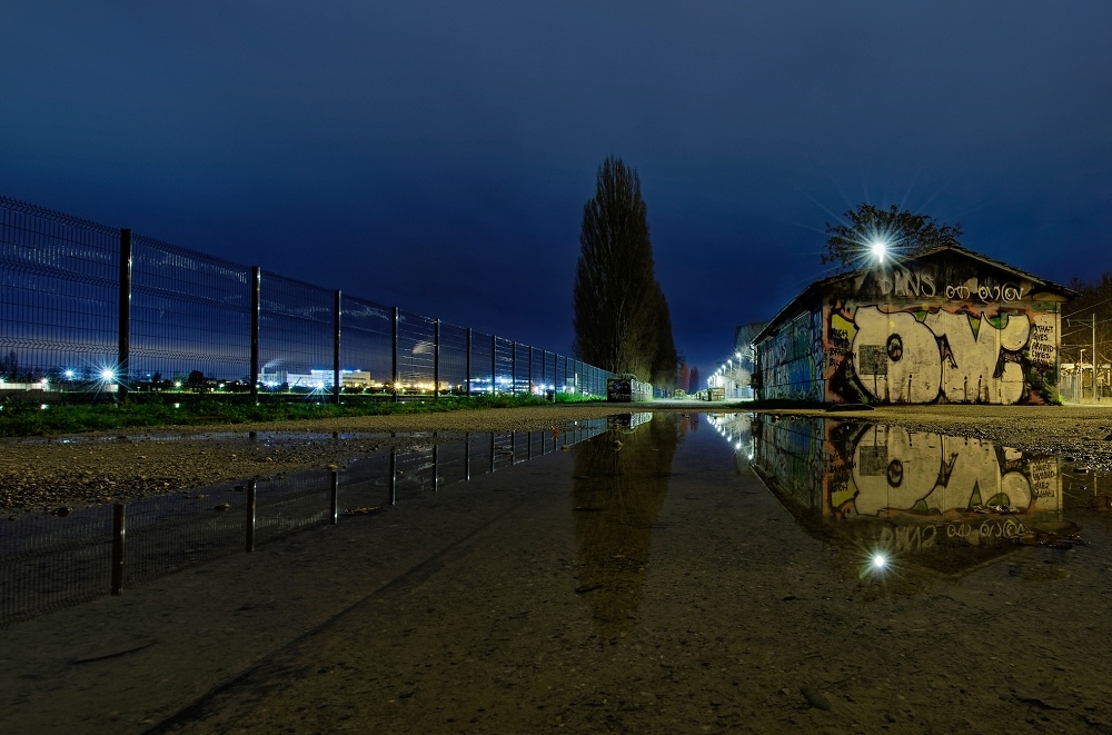041A4524_DxO-border.jpg.82b44dc0b30279cd8e3af0643650061e.jpg