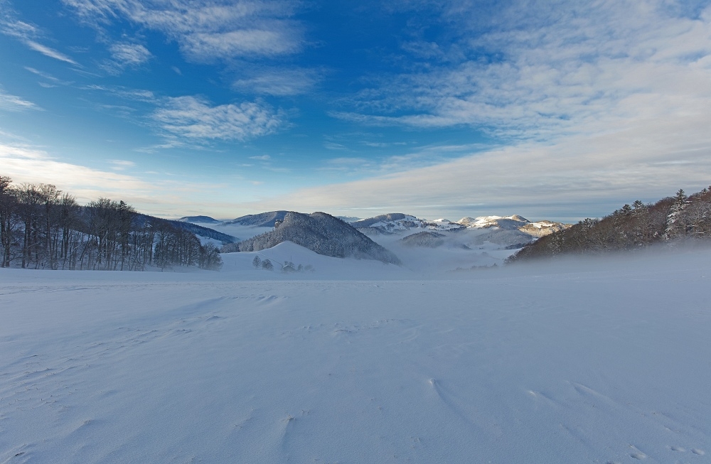 1G4A5234_DxO-border.jpg.24f67567e491c7a7a5b05e460cf4d037.jpg