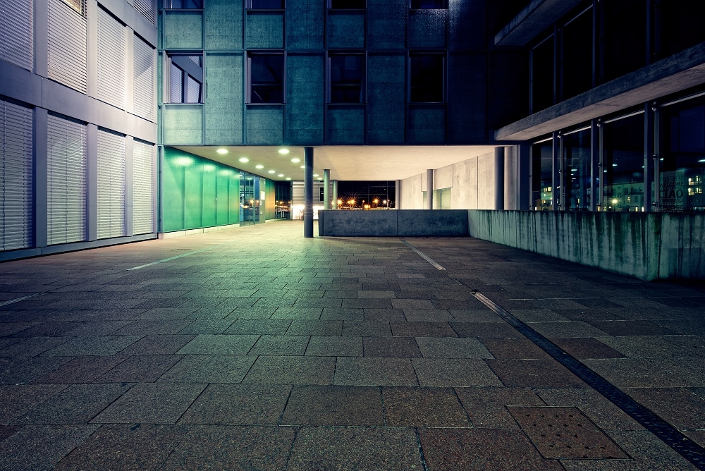 1G4A5342_DxO-border.jpg.b9bded53618a71ba5ab462379436b8b4.jpg