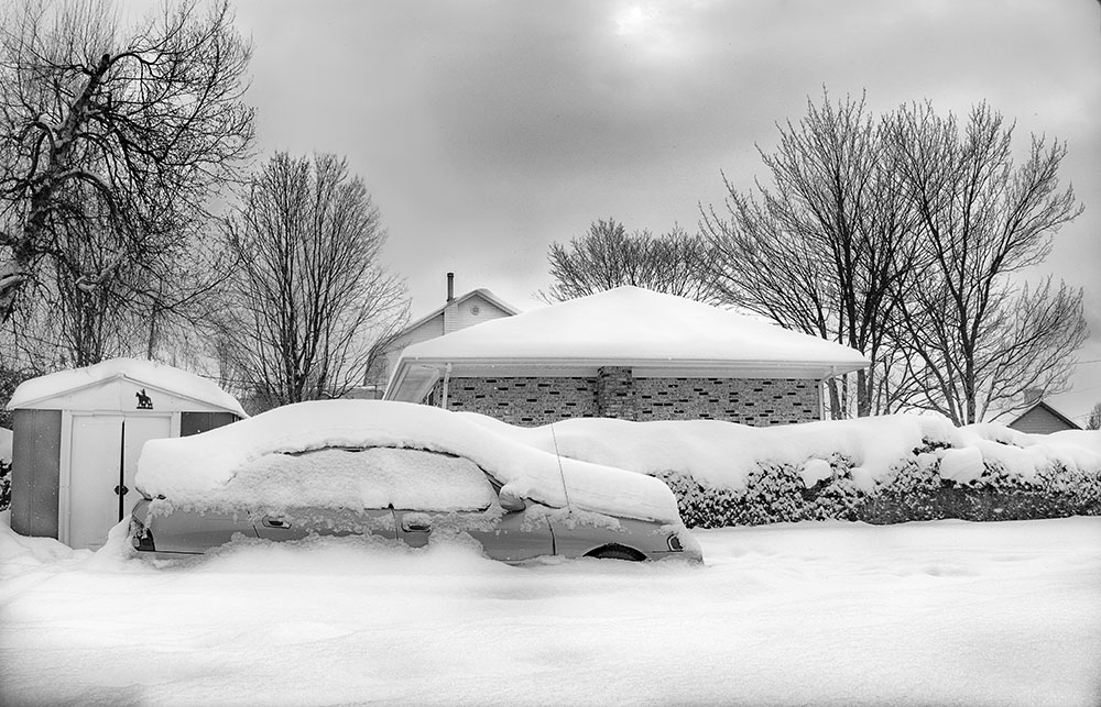 20210220DSC01126-2web.jpg.9d0911f93000d0eb7a2425203d4bb995.jpg