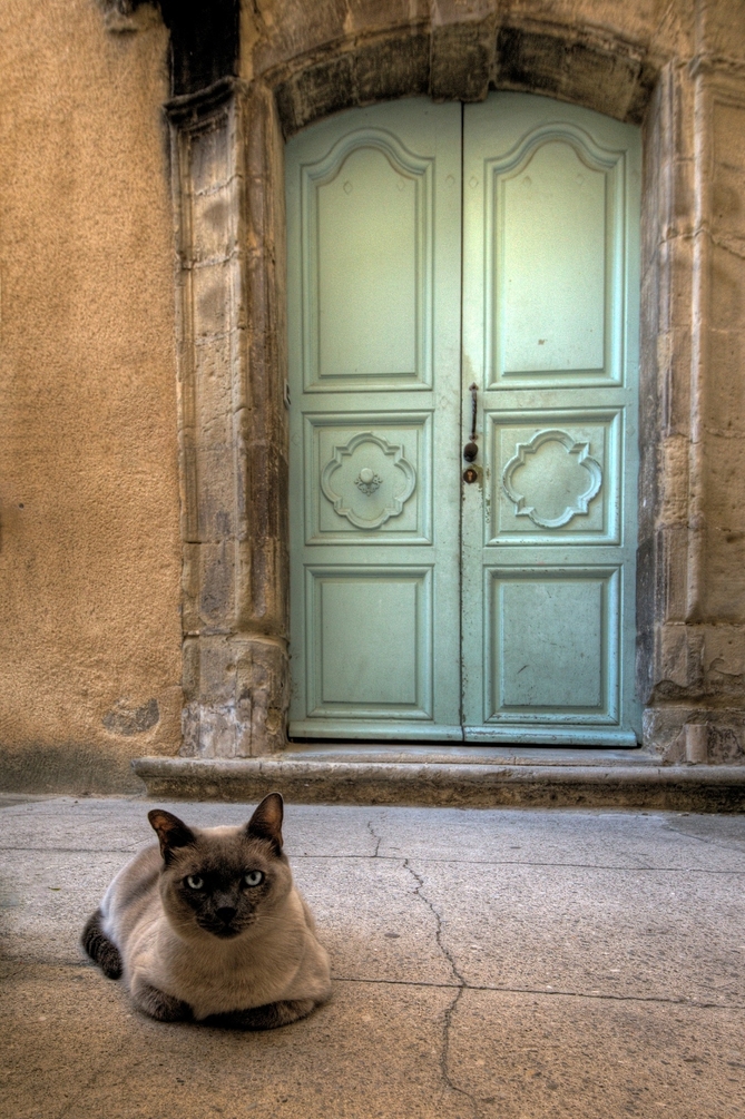 C65Q9633_DxO__2__3_tonemapped-border.thumb.jpg.2a8368883a26ec4a9cd9d6bac3088547.jpg