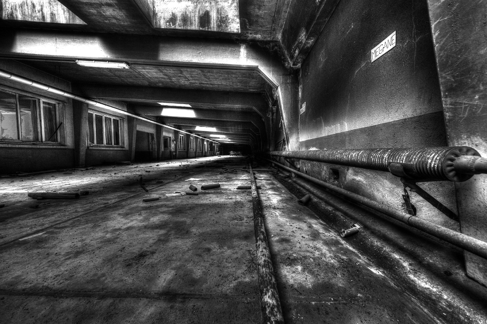 CW7A5377_DxO__2__3_tonemapped-border-border.jpg.b6e94a5e73479cc20240e9ca8ef4ee0f.jpg