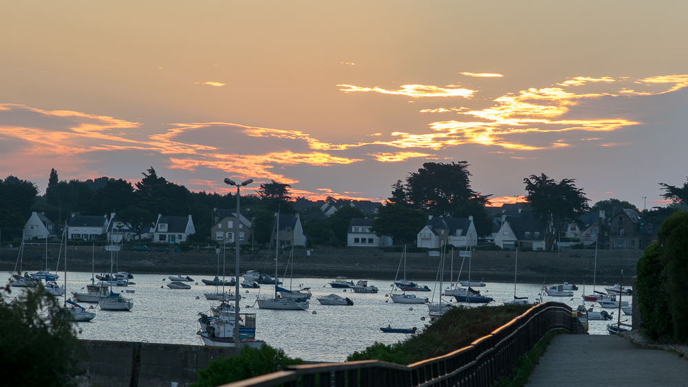 DSC_0021-2.jpg.b090df3d7b321a4264d341536ada232f.jpg