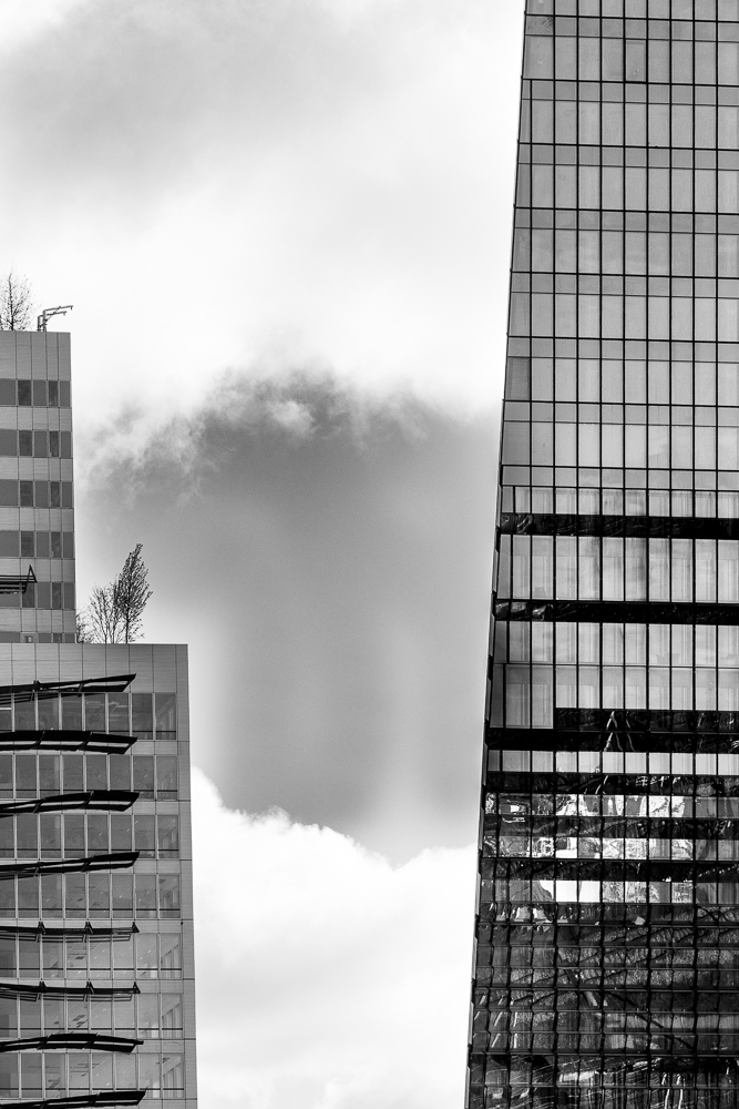 _DSC8117.jpg.e5f32df3a86708e4e2827a5418946f4c.jpg