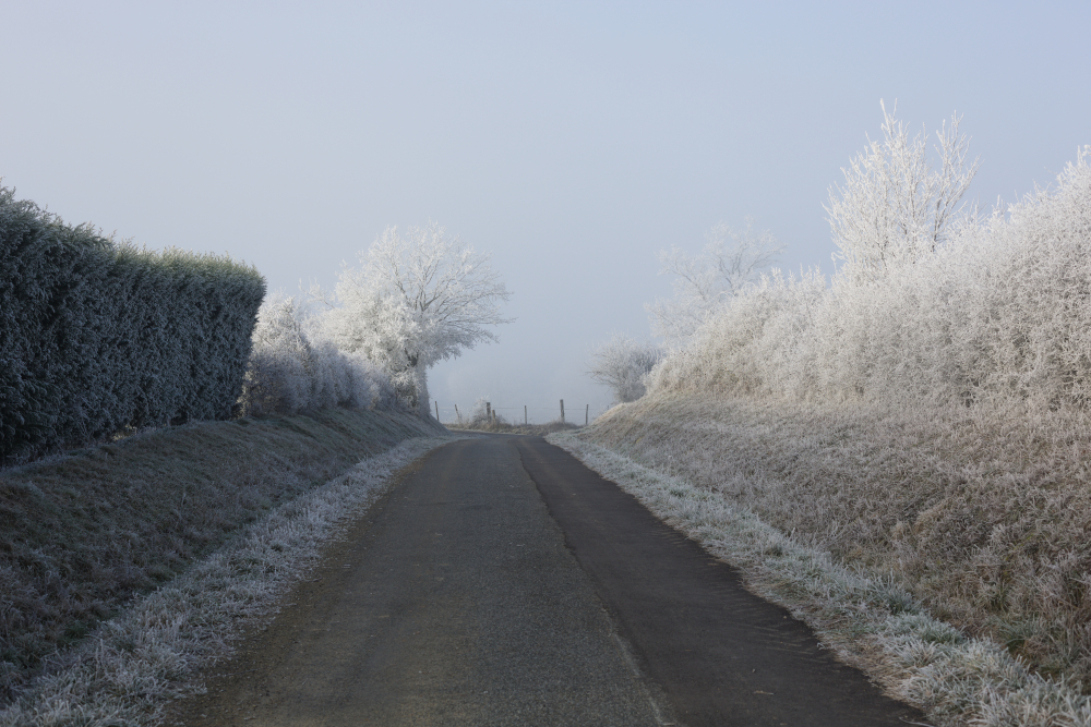 givre3712.jpg.96f9ef8b97e08cf96d698b0686a10829.jpg
