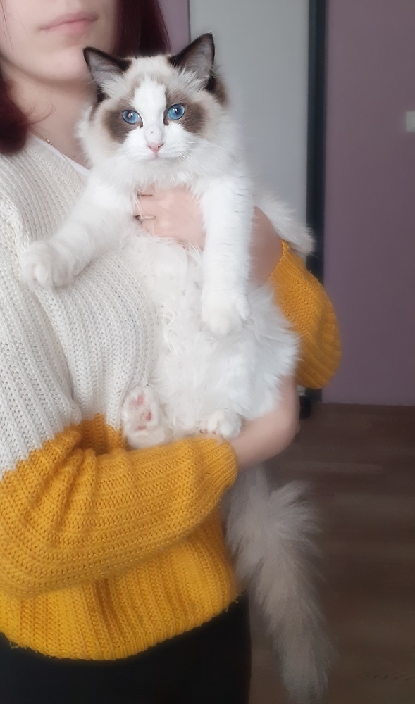 20220220_104941 (2).jpg