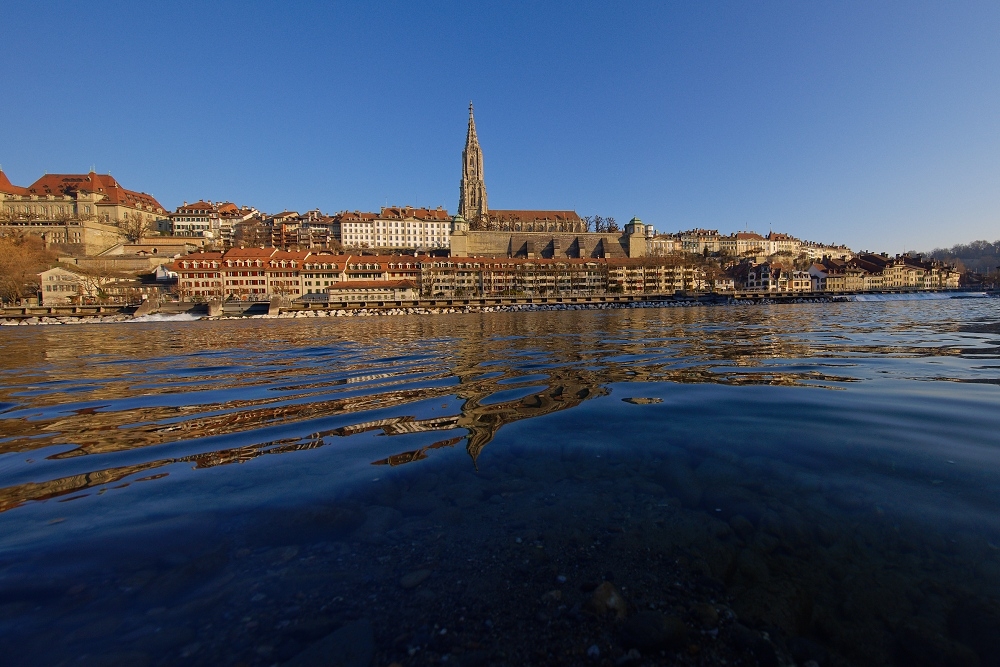 041A5245_DxO-border.jpg.c1ec25645da856d62a738548814b71ad.jpg
