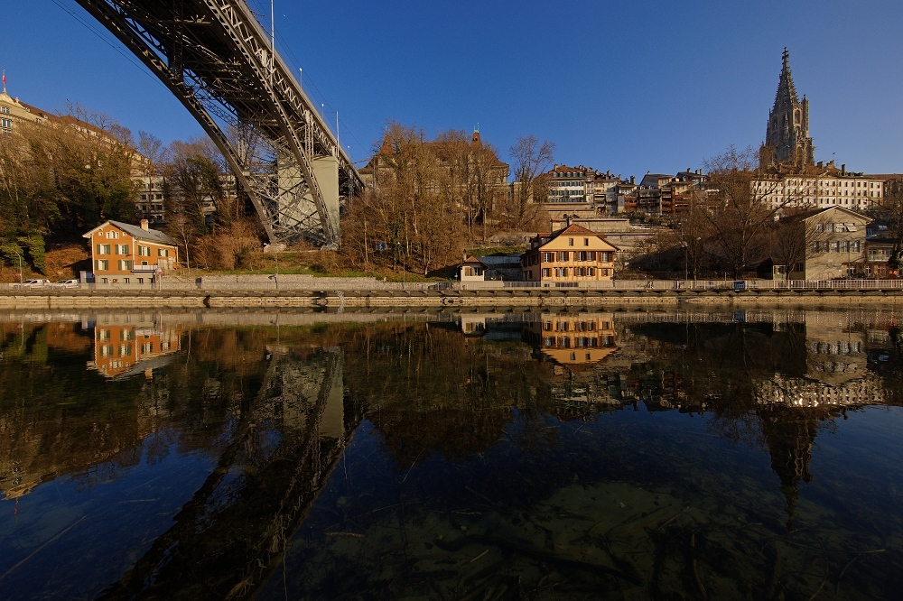 041A5253_DxO-border.jpg.1d89573b91295f08de17ecea30cec91b.jpg