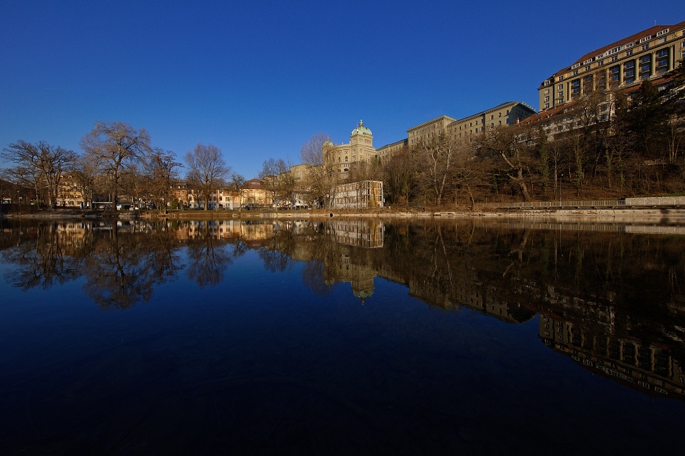 041A5271_DxO-border.jpg.d4e16ec90a5a14301548f317004a91d0.jpg